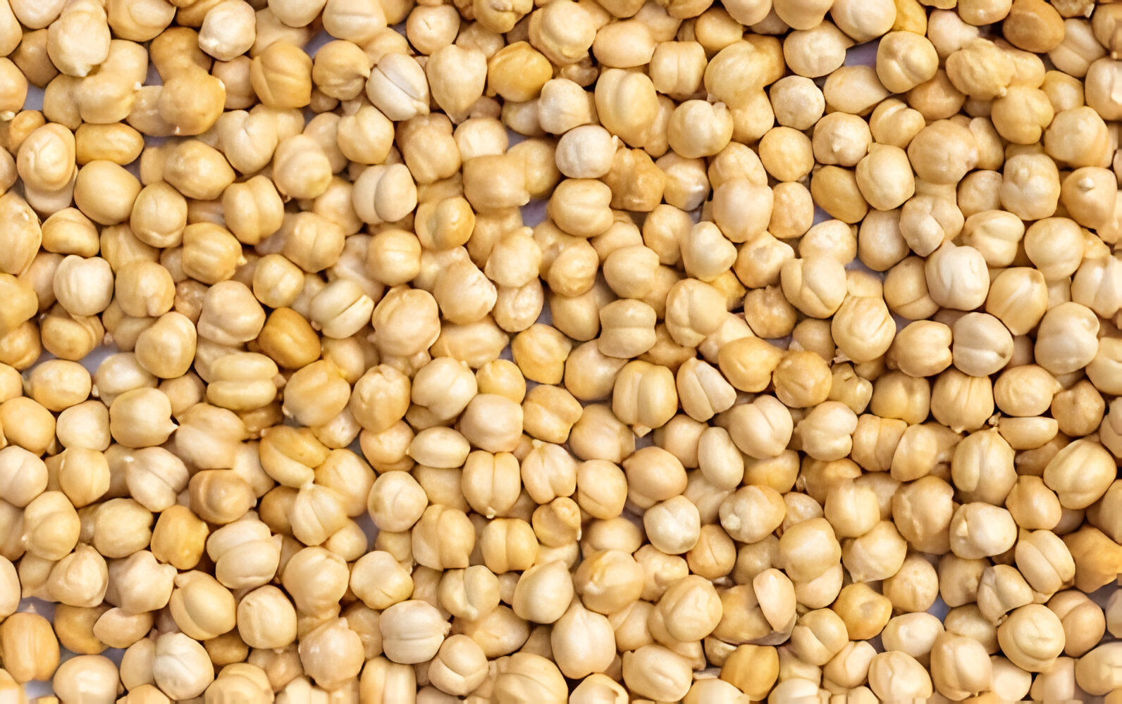 Irani Saada Chickpeas