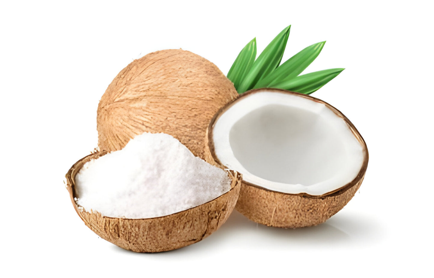 Coconut Powder