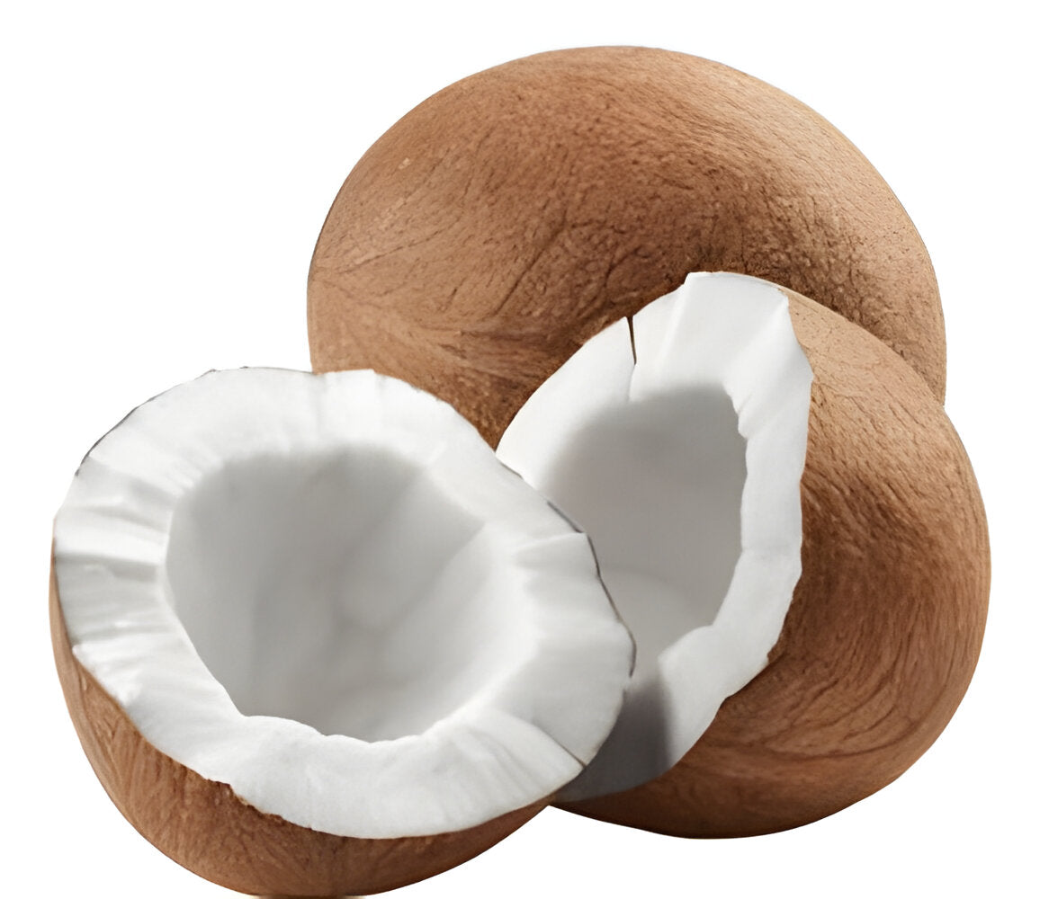 Coconut