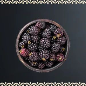 MULBERRY (SHEHTOOTH)
